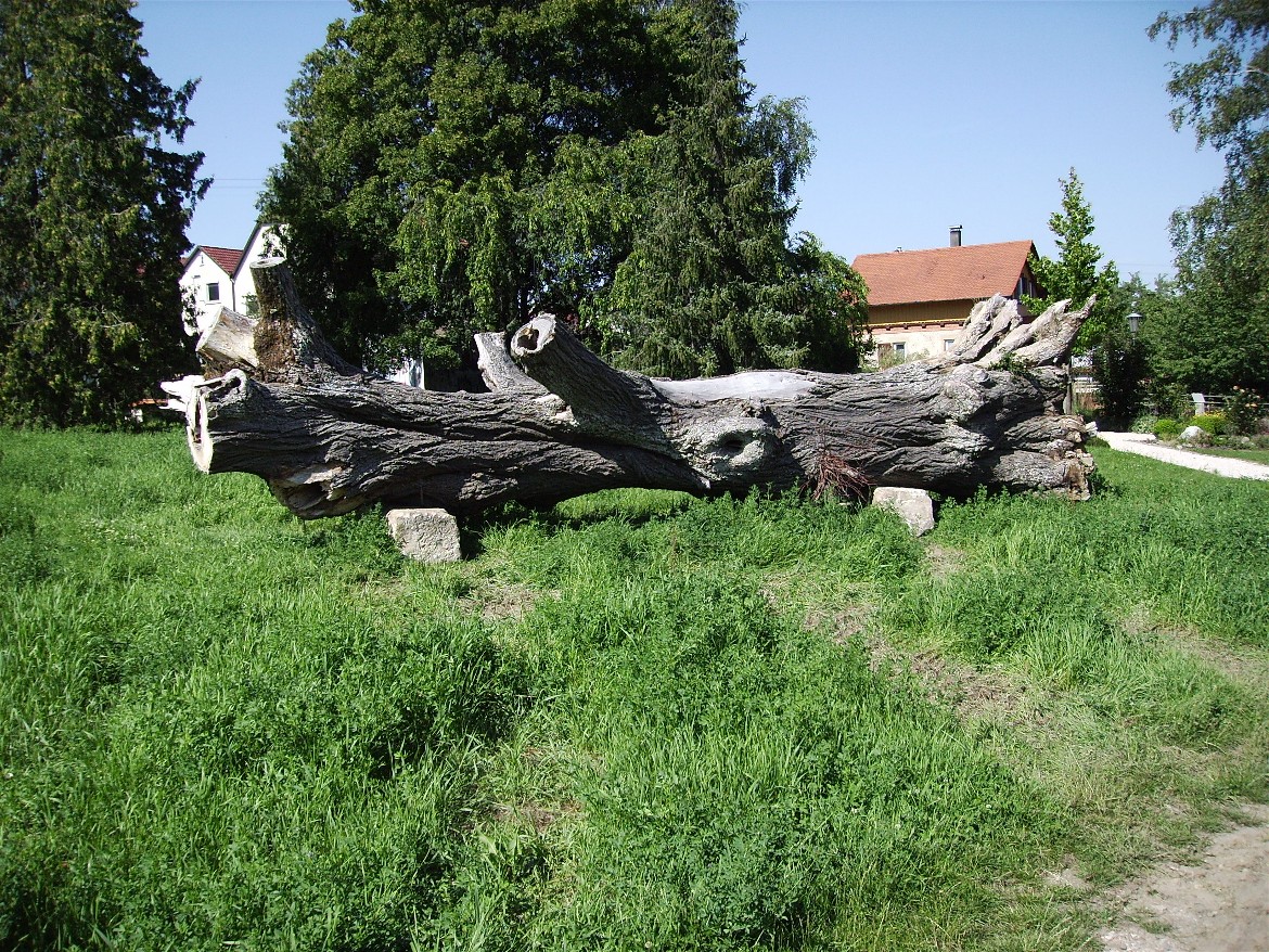 Bild "IMG_0561.JPG"