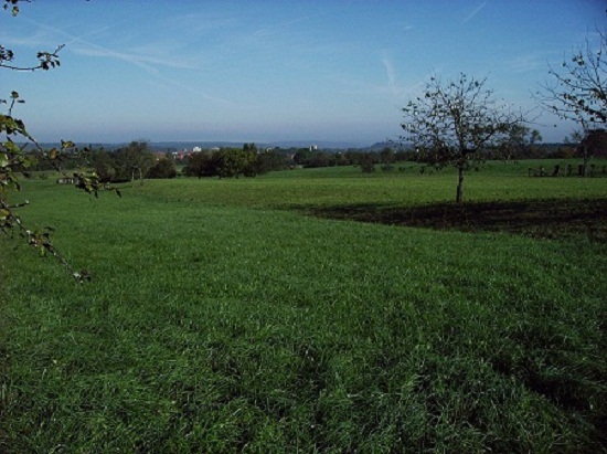Bild "kelt3_006k.jpg"