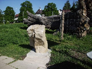 Bild "wkon08_001.jpg"